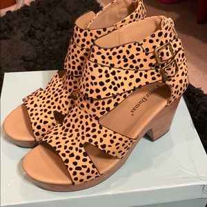 Leopard Pierre Dumas heels